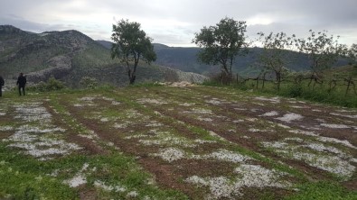 Siirtli Çiftçilere 1,5 Milyon Lira Yardim