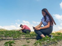 TEKNOFEST Finalinde Yarismaya Hak Kazandilar