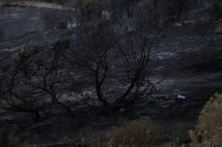 Akhisar'daki Orman Yangini Devam Ediyor
