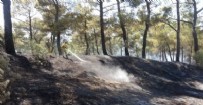 Çanakkale'de orman yangını!
