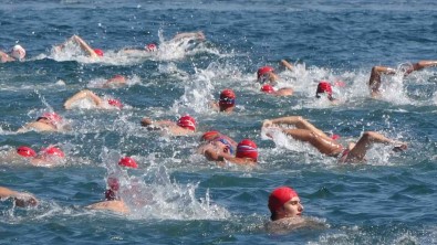 Izmit Körfezi'nde 2 Bin 622 Metre Kulaç Attilar