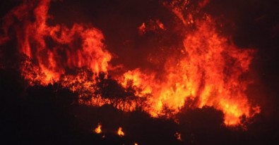 Aydın Söke'de orman yangını! 5 gece görüşlü helikopter sevk edildi...