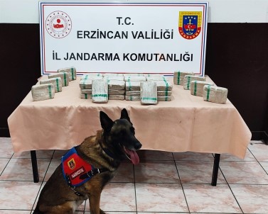 Erzincan'da Tir Içerisinde 25 Kilo 720 Gram Eroin Ele Geçirildi
