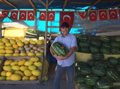 Osmaneli Karpuzlari Artik Ayirt Edilebiliyor