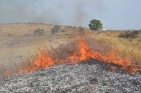 Tekirdag'da Aniz Ve Çamlik Alan Alev Alev Yandi