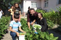 Yunus Emre Ögretmen, Okulda Ögrencileriyle Yetistirdigi Sebzelerini Sütle Besliyor