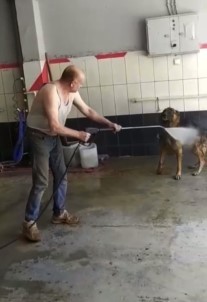Bursa'da Sicaktan Bunalan Köpek Böyle Serinletildi