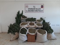 Içisleri Bakanligi Duyurdu Açiklamasi '2 Milyonu Askin Kök Kenevir Ele Geçirildi