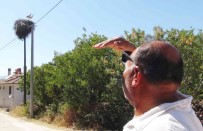 Muhtarin Gözü Leyleklerde