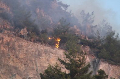Söke Argavli Yangininda Söndürme Çalismalari Devam Ediyor