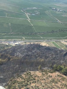 Söke'deki Orman Yangini Kontrol Altina Alindi