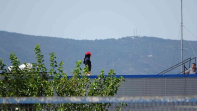 Tuzla'da Tazminatinin Eksik Verildigini Iddia Eden Kadin Isçi Fabrikanin Çatisina Çikti