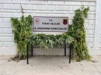 Yakalanacagini Anlayinca 250 Kilogram Esrari Kelkit Çayina Döktü