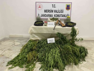 Çadira Uyusturucu Operasyonu