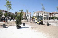 Nevsehir'de Parklar Agaçlandiriliyor