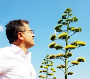 Unesco Dünya Kültür Mirasi Listesinde