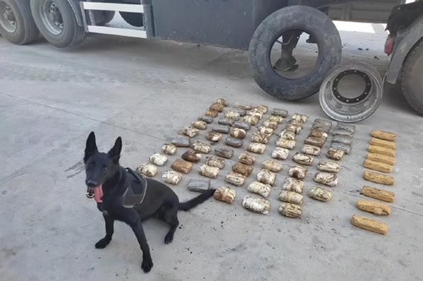 Yedek lastikten 47 kilo 550 gram uyuşturucu çıktı!