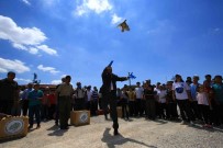 Çorum'da Dogaya Bin 250 Kinali Keklik Salindi