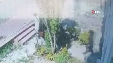 'Levyeli Besler' 90 Bin Liralik Vurgun Yapti