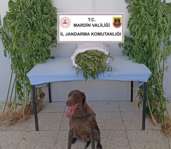 Mardin'de Uyusturucu Ve Tarihi Eser Kaçakçiligi Operasyonu Açiklamasi 5 Gözalti