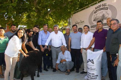 Mersin'de 13 Üreticiye 325 Küçükbas Hayvan Dagitildi