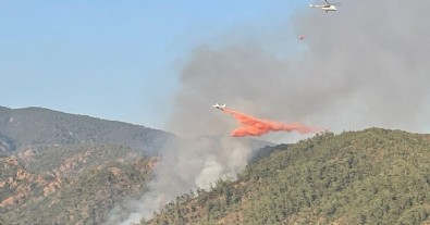 Muğla Marmaris’te orman yangını kontrol altına alındı