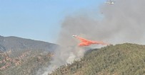 Muğla Marmaris’te orman yangını kontrol altına alındı