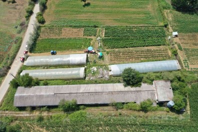 Büyüksehirden Üreticilere Yüzde 50 Hibeli Sera Destegi