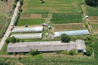 Büyüksehirden Üreticilere Yüzde 50 Hibeli Sera Destegi