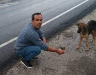 Mobilya Atölyesinde Enistesini Katleden Zanli Yakalandi