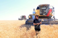 Tarim Ve Orman Bakani Kirisci Yeni Tohumluk Fiyatlarini Açikladi