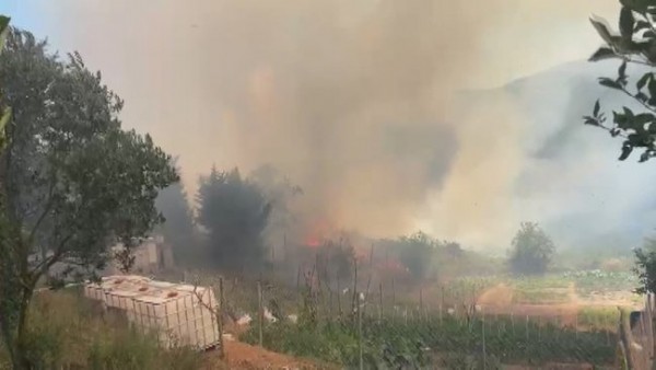 İstanbul Beykoz'da orman yangını: Yerleşim alanına çok yakın!