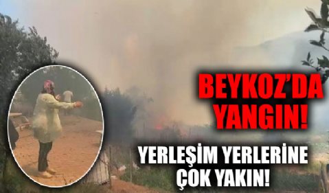 İstanbul Beykoz'da orman yangını: Yerleşim alanına çok yakın!