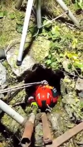 Kedi Yavrulari 15 Metrelik Kuyudan Kurtarildi