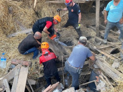 Bursa'da Ahir Yikildi, 5 Büyükbas Hayvan Telef Oldu