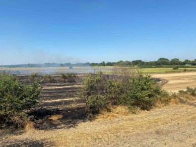 Kirklareli'nde Anizlik Alanda Çikan Yanginda 150 Dekar Alan Zarar Gördü