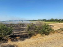 Kirklareli'nde Anizlik Alanda Çikan Yanginda 150 Dekar Alan Zarar Gördü