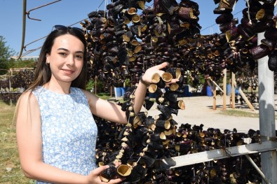 Nazilli'den Dünyaya Dogal Lezzet Açiklamasi Kurutulmus Patlican