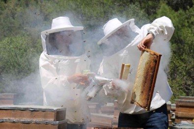 Sifa Kaynagi 'Ogul Bali'