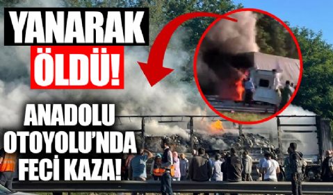 Anadolu Otoyolu’nda korkunç kaza: Sürücü yanarak öldü!