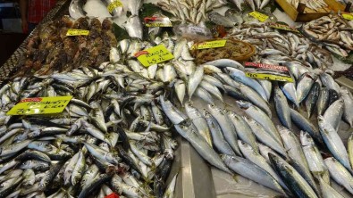 Av Sezonu Bitse De Baliklar Tezgahlari Süslemeye Devam Ediyor