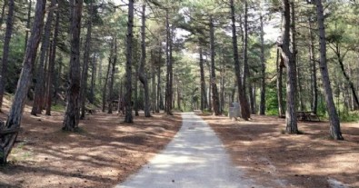 Eskişehir’de ormanlara giriş yasaklandı