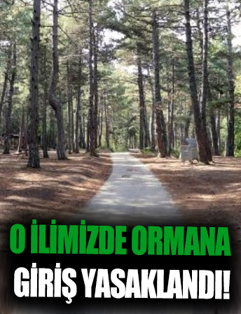 Eskişehir’de ormanlara giriş yasaklandı