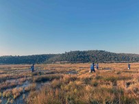 210 Personelle Vektörle Mücadele