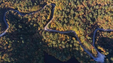 Yalova Ormanlarina Giris Ve Çikislar Yasaklandi