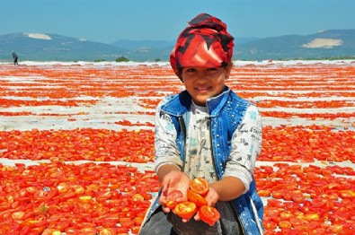 Her yer kızıla boyandı: Amerika ve Avrupa'dan talep yağıyor