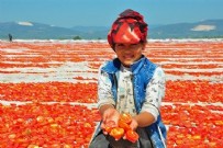 Her yer kızıla boyandı: Amerika ve Avrupa'dan talep yağıyor