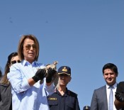 Hirka Dagi'na Keklik Salindi