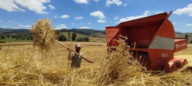 Kislik Yem Hazirliklari Hizlandi