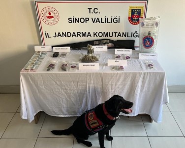 Sinop'ta Uyusturucu Operasyonunda 1 Kisi Yakalandi